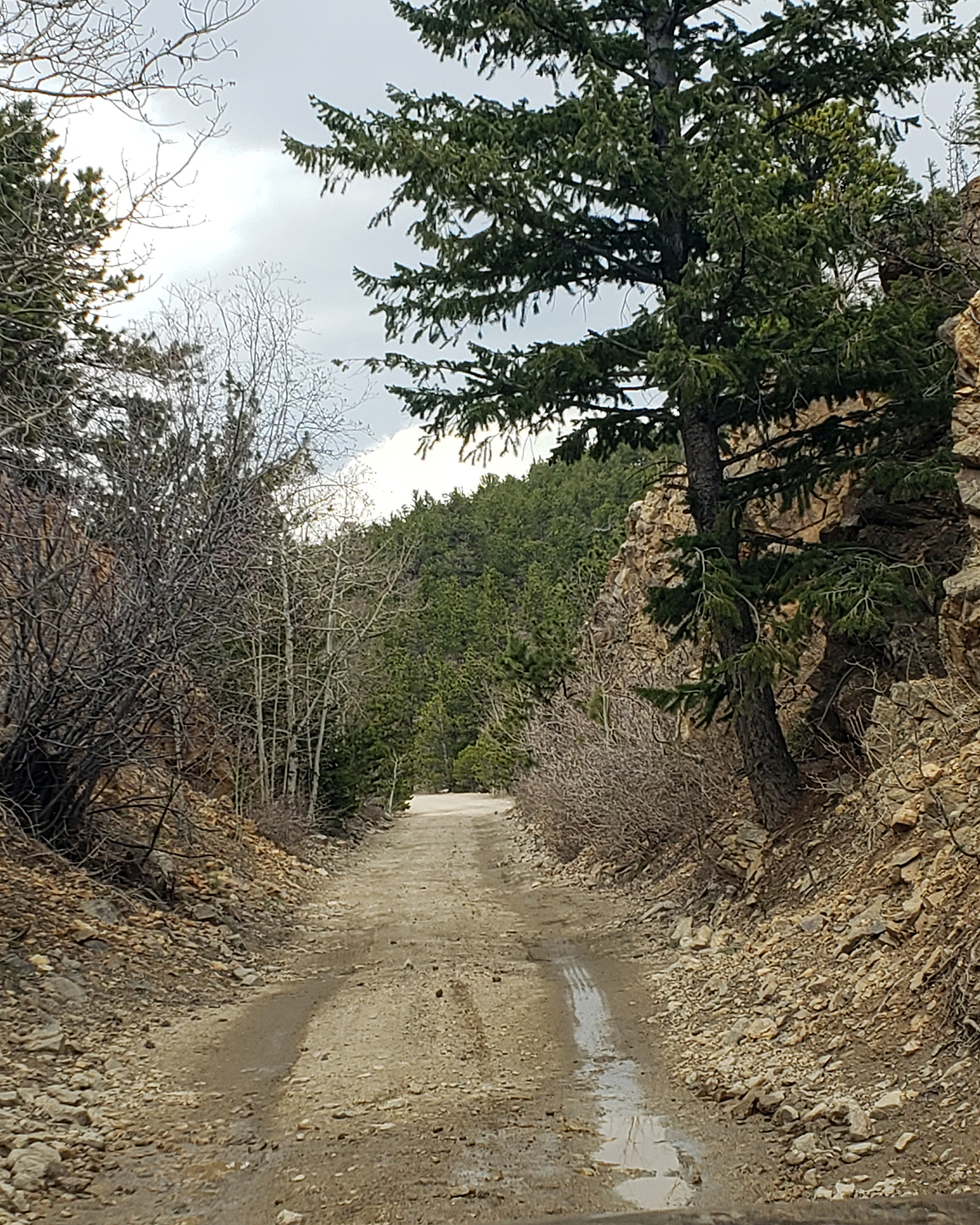 The Switzerland Trail - Wandering Prose - Colorado 4x4 Trails